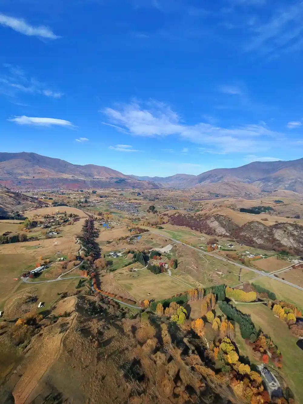 Farmland and autumn trees far below the wing
