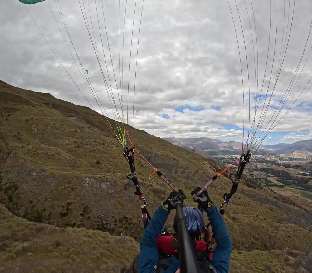 A wing lifting away from a tussock ridge